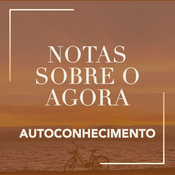 notas sobre o agora